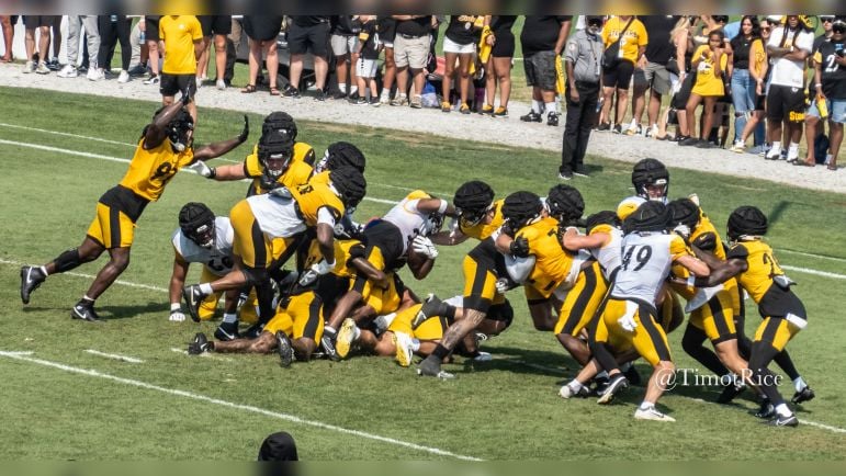 Ryan Watts interception Steelers training camp