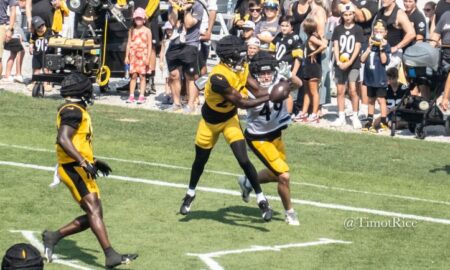 Ryan Watts interception Steelers training camp