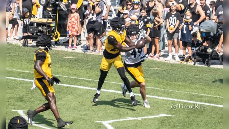 Ryan Watts interception Steelers training camp