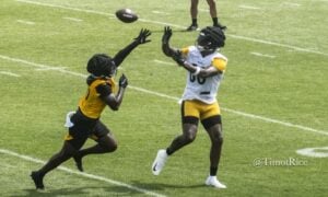 Darnell Washington Steelers training camp