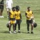 Patrick Queen Elandon Roberts Nick Herbig Steelers training camp