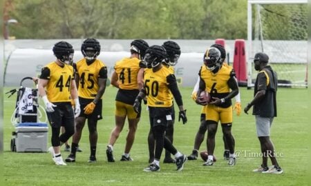 Patrick Queen Elandon Roberts Payton Wilson Tyler Matakevich Jacoby Windmon inside linebackers Steelers training camp