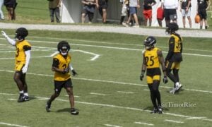 DeShon Elliott Minkah Fitzpatrick Beanie Bishop Jr. Damontae Kazee defensive backs secondary Steelers training camp Baldinger