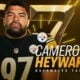 Cam Heyward Steelers Pro Bowl