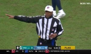 Steelers Jets referee