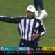 Steelers Jets referee