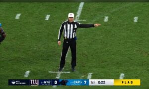 Steelers Bengals referee