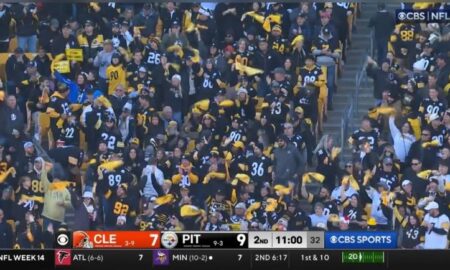 Steelers fans