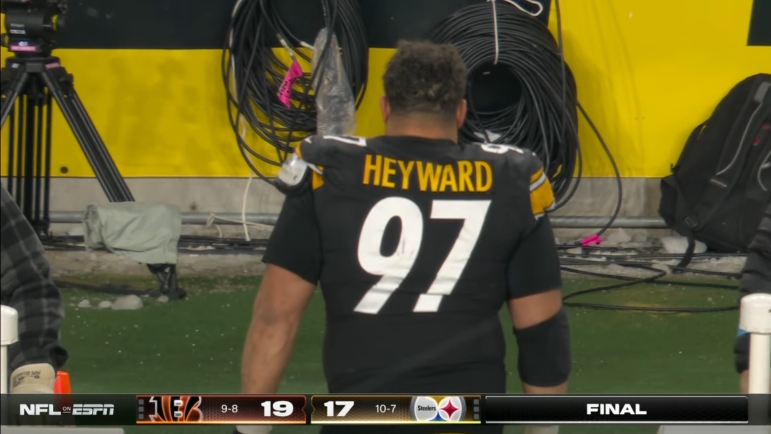 Cam Heyward Mayock