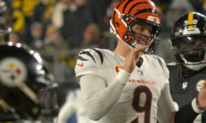 Joe Burrow Bengals Carson Palmer