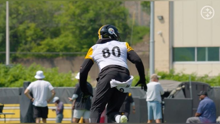 Darnell Washington Steelers TE