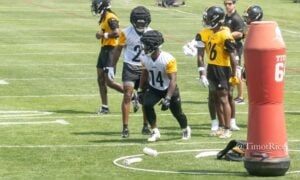 Steelers Tomlin backs on backers