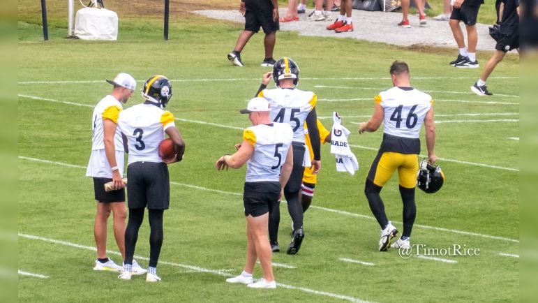 Steelers Punter