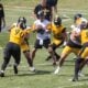 Aaron Rodgers Steelers