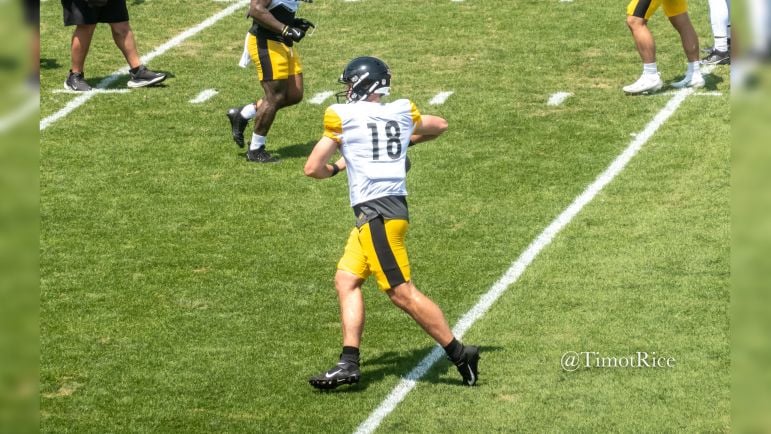 Will Howard