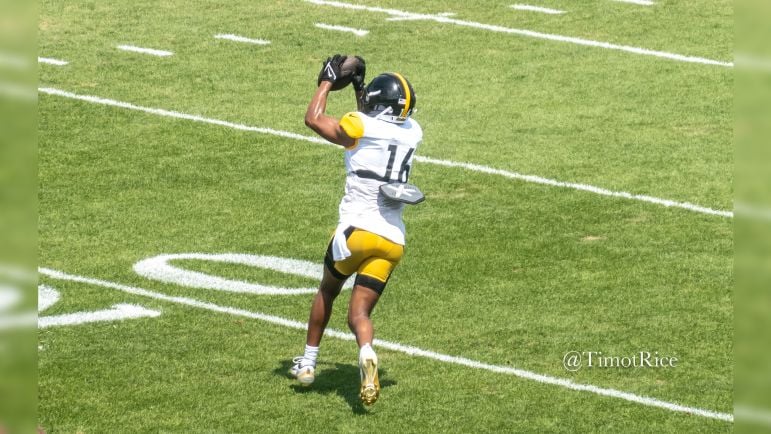Robert Woods Steelers