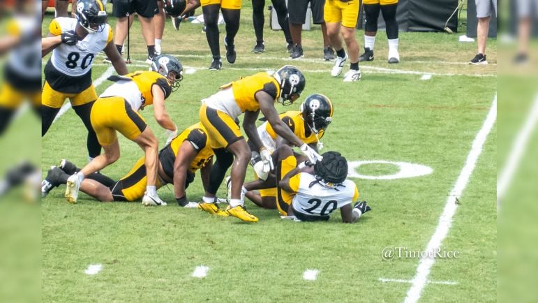 Steelers defense