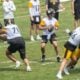 Steelers offense Cowherd