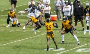 Steelers veterans preseason