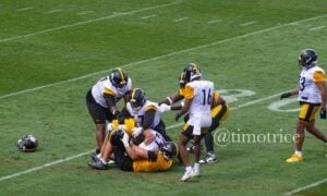 Steelers camp fight