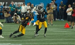 Positional Grades Steelers Panthers