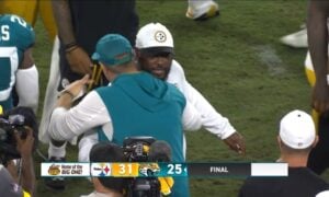 Steelers preseason snaps