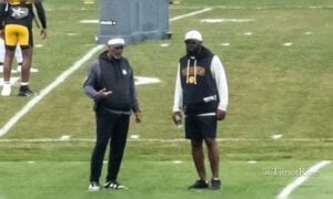Mike Tomlin Teryl Austin defense