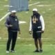 Mike Tomlin Teryl Austin defense