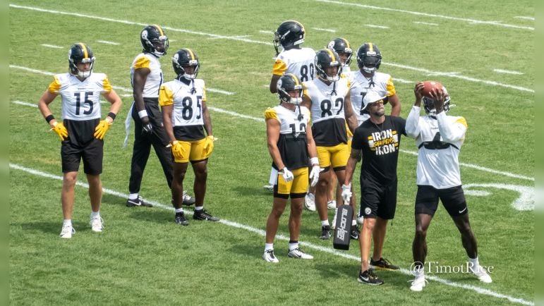 Steelers preseason Steelers WR