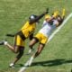 Robert Woods