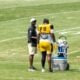 DeMarvin Leal