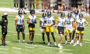 Steelers receiver