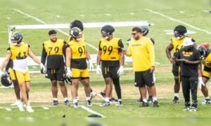 Cam Heyward Derrick Harmon