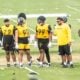 Cam Heyward Derrick Harmon