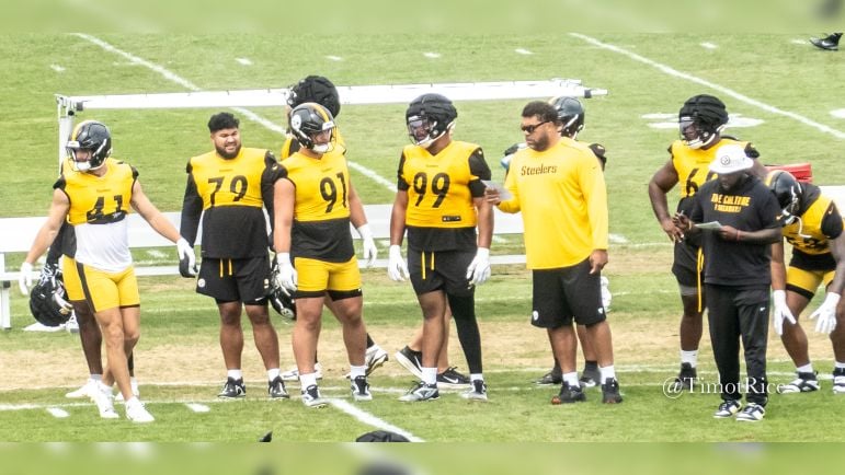 Cam Heyward Derrick Harmon