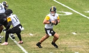 Will Howard