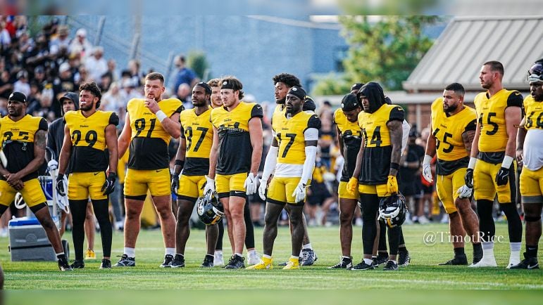 Steelers defense