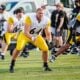 Steelers players to watch Panthers