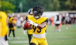 Mark Robinson Steelers