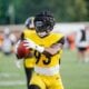 Mark Robinson Steelers