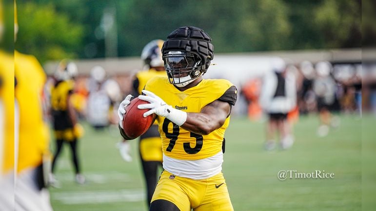 Mark Robinson Steelers
