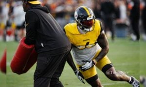 Patrick Queen Steelers defense