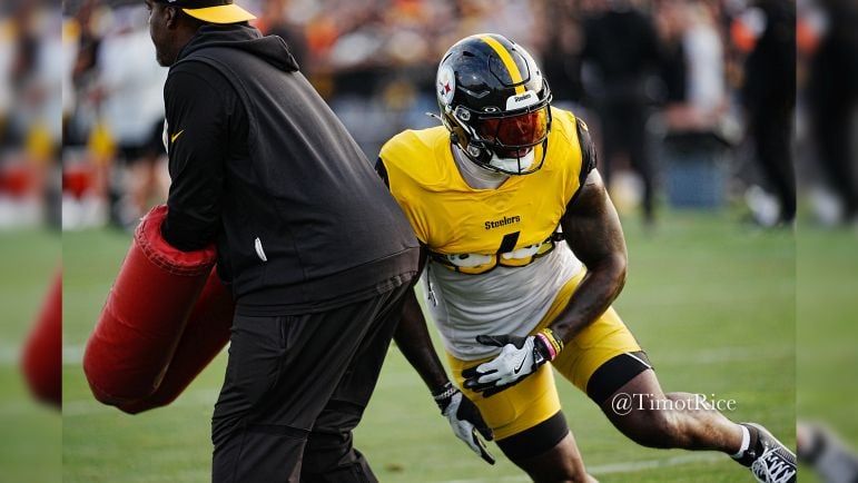 Patrick Queen Steelers defense