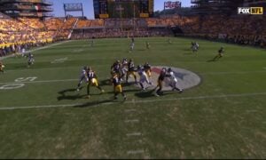 Steelers fan
