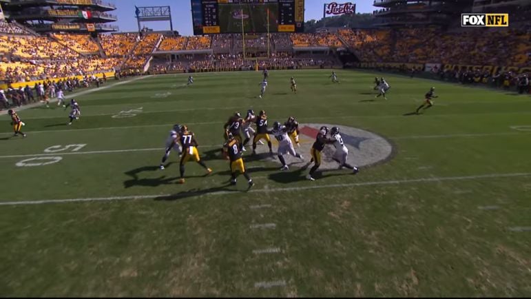 Steelers fan