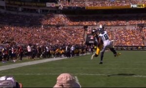 DK Metcalf touchdown Steelers red zone