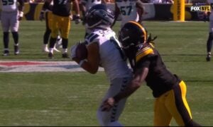 Steelers defense