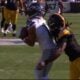Steelers defense