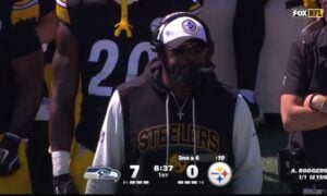 Mike Tomlin defense