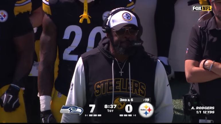 Mike Tomlin defense